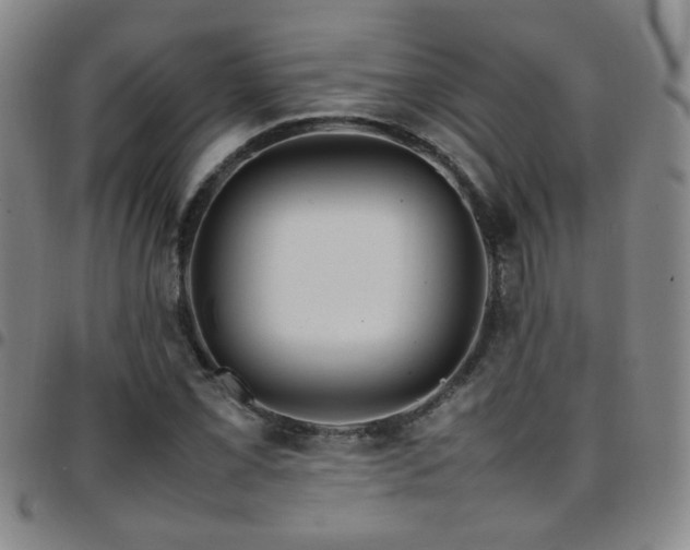 X0000097901069200803141350