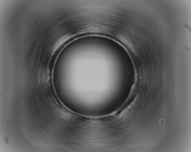 X0000097901070200803141350