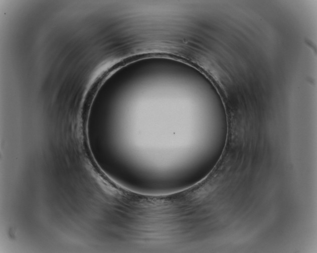 X0000097901072200803141349
