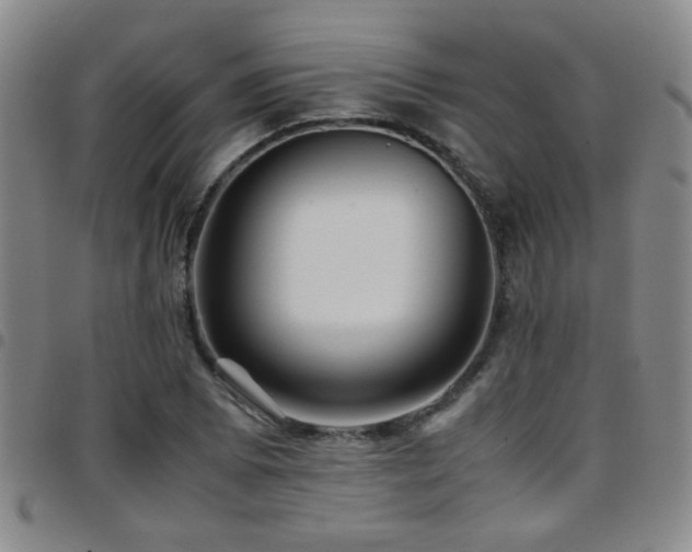 X0000097901073200803141349