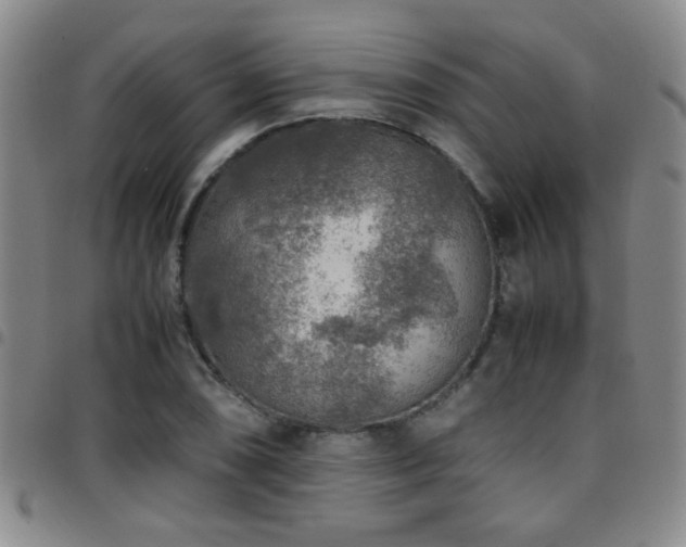 X0000097901074200803141349
