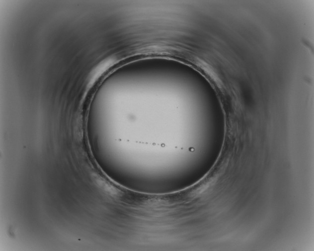 X0000097901075200803141349