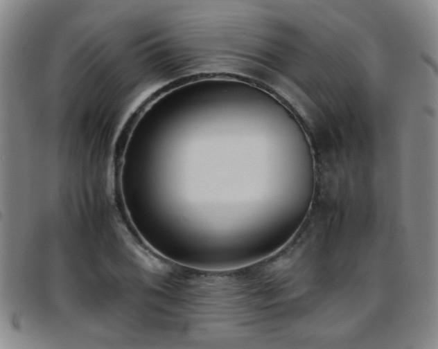X0000097901076200803141349