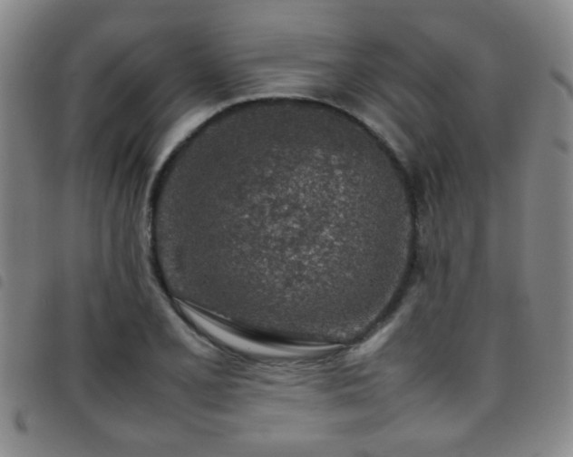 X0000097901077200803141349