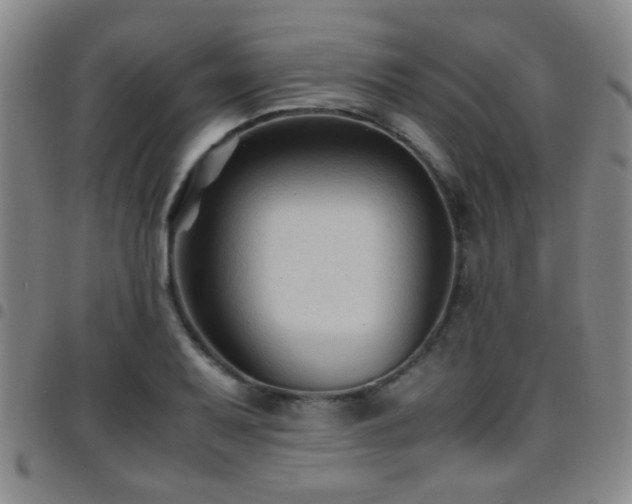 X0000097901079200803141349