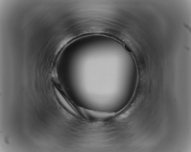 X0000097901081200803141349