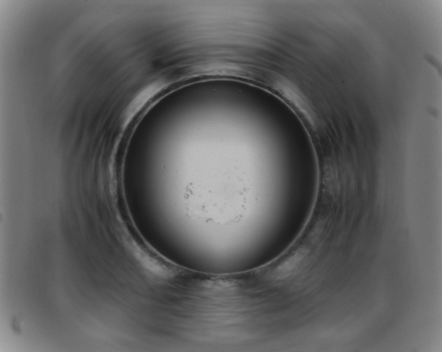 X0000097901082200803141349