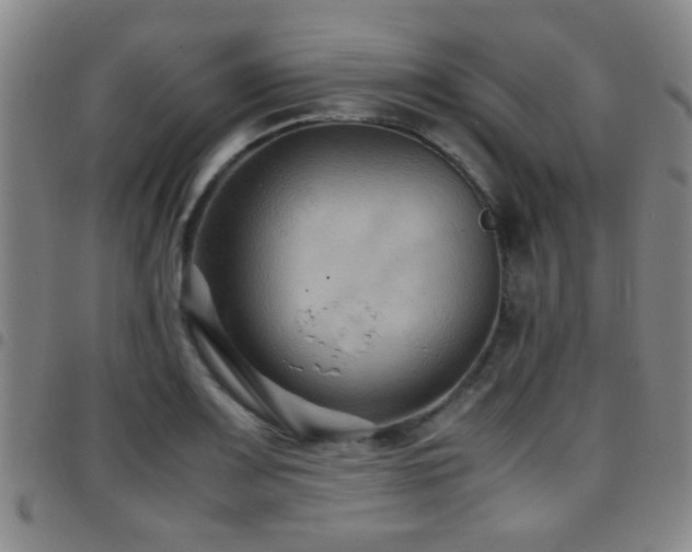 X0000097901083200803141349