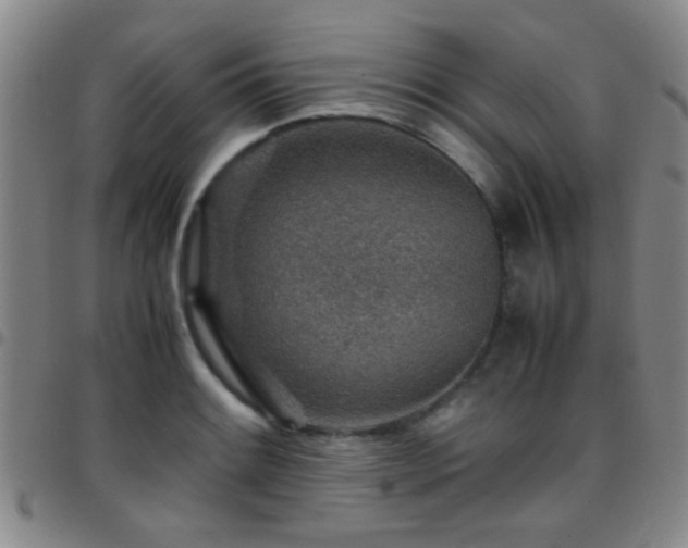 X0000097901084200803141349