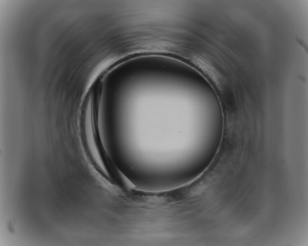 X0000097901085200803141349
