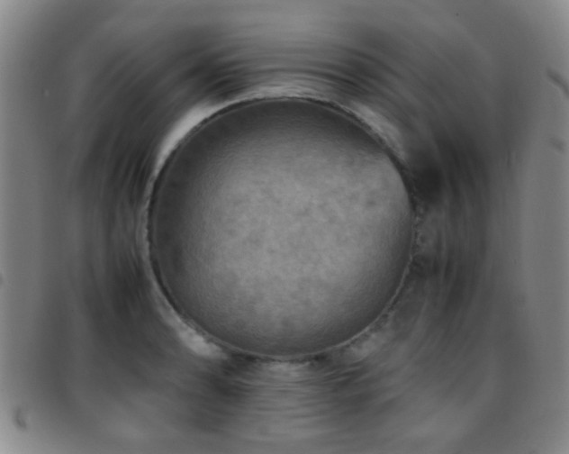 X0000097901086200803141349