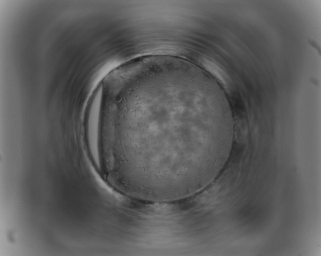 X0000097901087200803141349