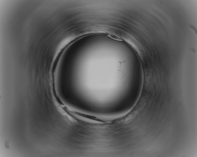 X0000097901088200803141349