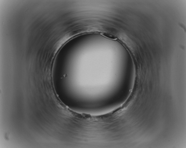 X0000097901089200803141349