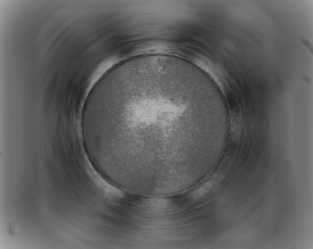 X0000097901090200803141349