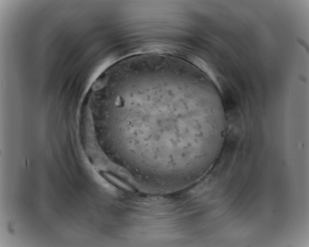 X0000097901091200803141349
