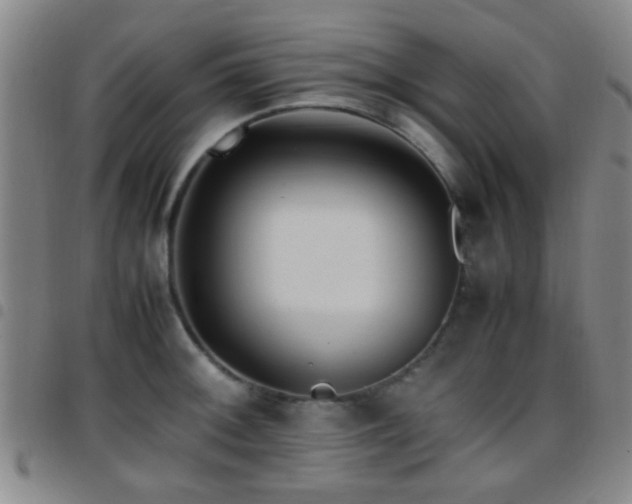 X0000097901092200803141349