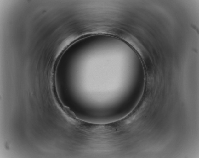 X0000097901093200803141349