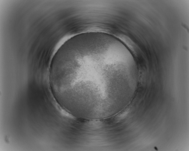 X0000097901094200803141349