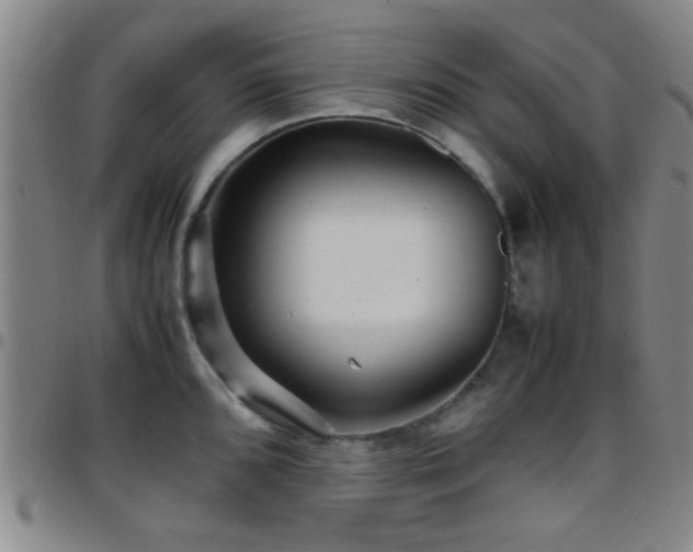 X0000097901096200803141349