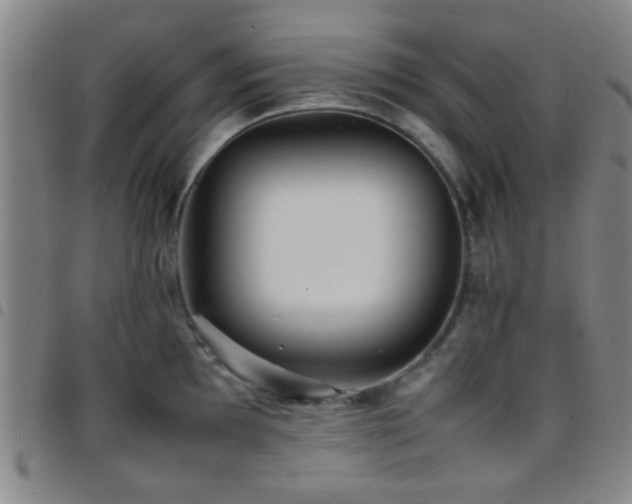 X0000097901097200803141349