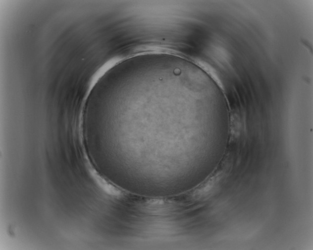 X0000097901098200803141349
