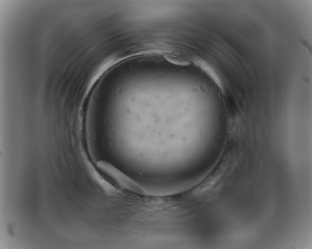 X0000097901099200803141349