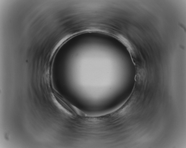 X0000097901100200803141349