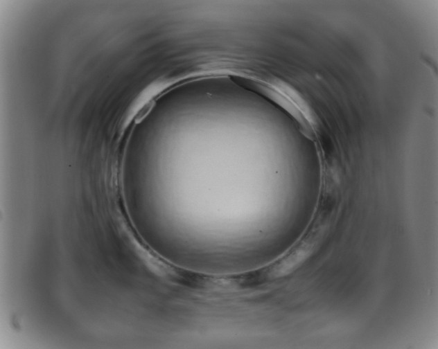 X0000097901101200803141349