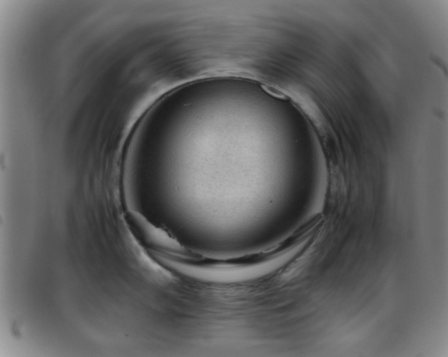 X0000097901102200803141349