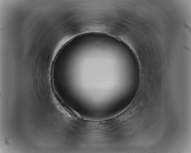 X0000097901104200803141349
