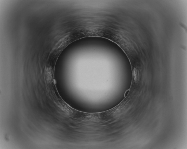 X0000097901107200803141348