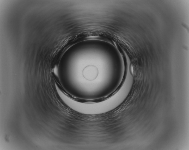 X0000097901108200803141348