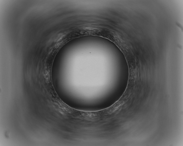 X0000097901109200803141348