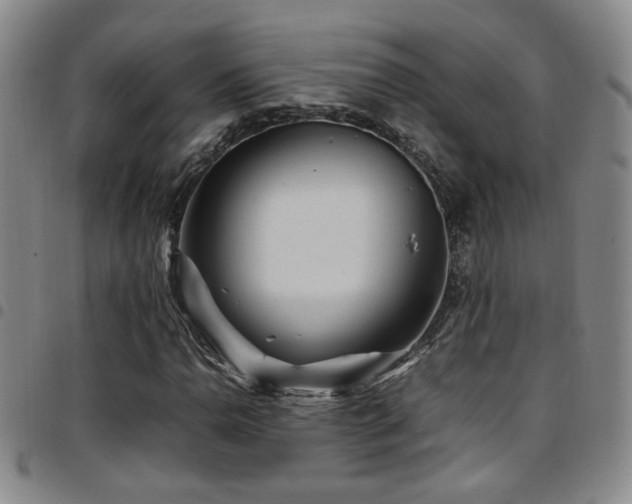 X0000097901110200803141348