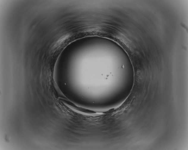 X0000097901111200803141348