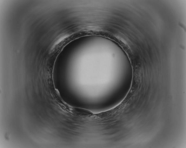 X0000097901112200803141348