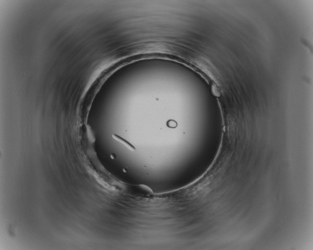 X0000097901116200803141349
