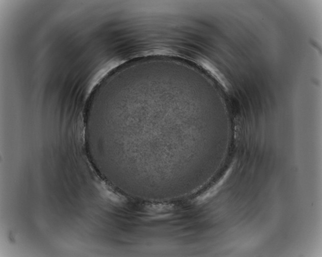 X0000097901117200803141349