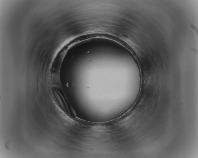X0000097901118200803141349