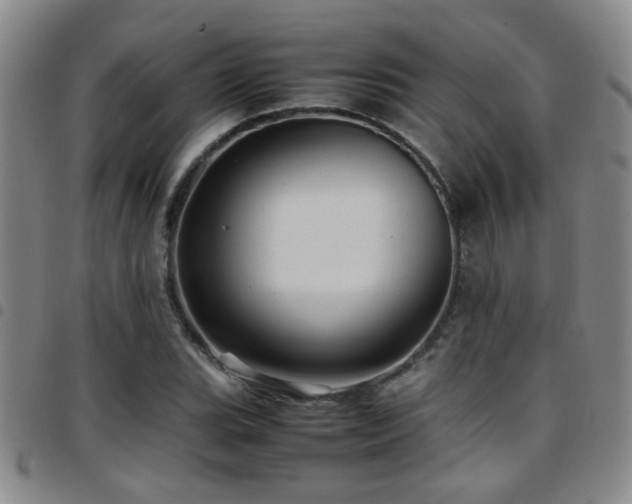 X0000097901119200803141349