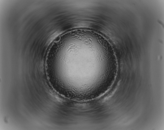 X0000097901121200803141349