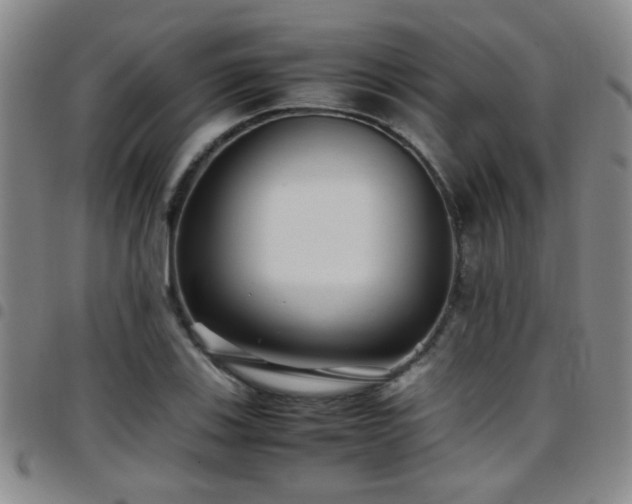 X0000097901123200803141349