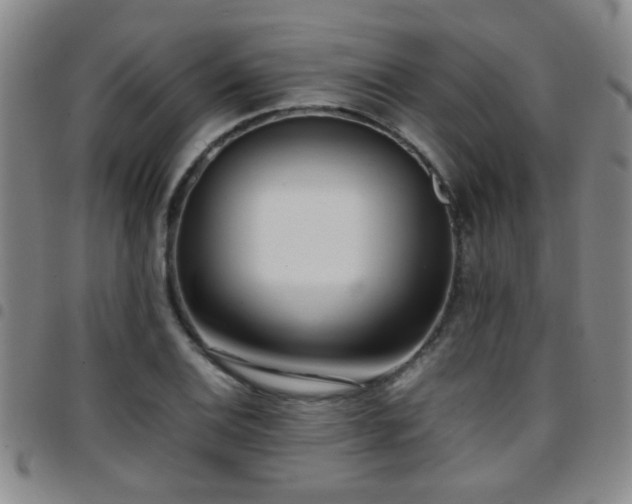 X0000097901124200803141349