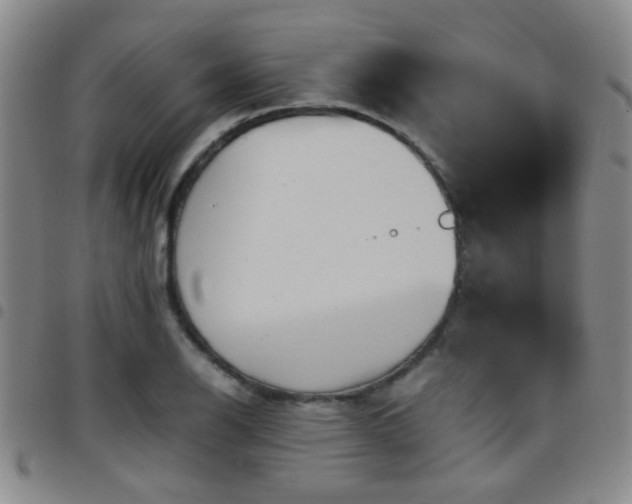 X0000097901126200803141349