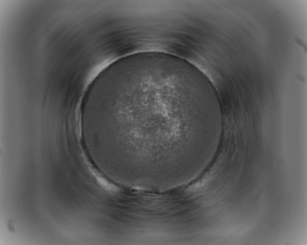 X0000097901127200803141349