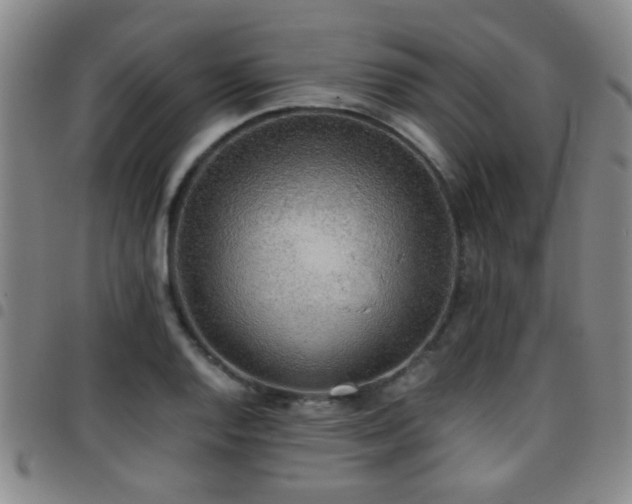 X0000097901128200803141349