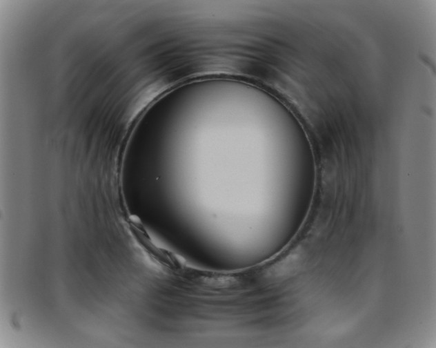 X0000097901129200803141349