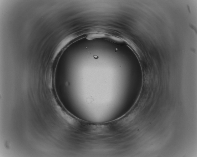 X0000097901131200803141349