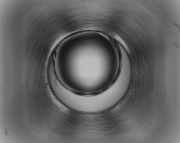 X0000097901132200803141349